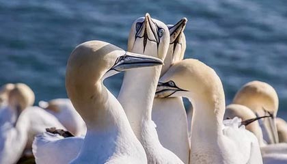 长兴高价上海医保提取2025的最新政策(2025年长兴上海医保怎么提取现金分享)