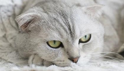 长兴高价上海医保提取2025的最新政策(2025年长兴上海医保怎么提取现金分享)